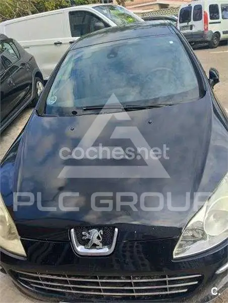 2009 Peugeot 407