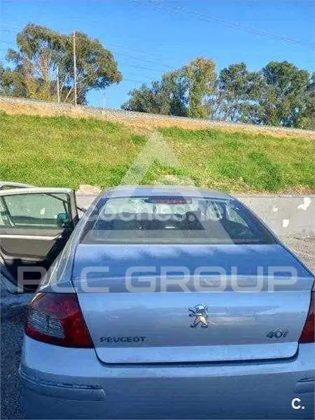 2009 Peugeot 407