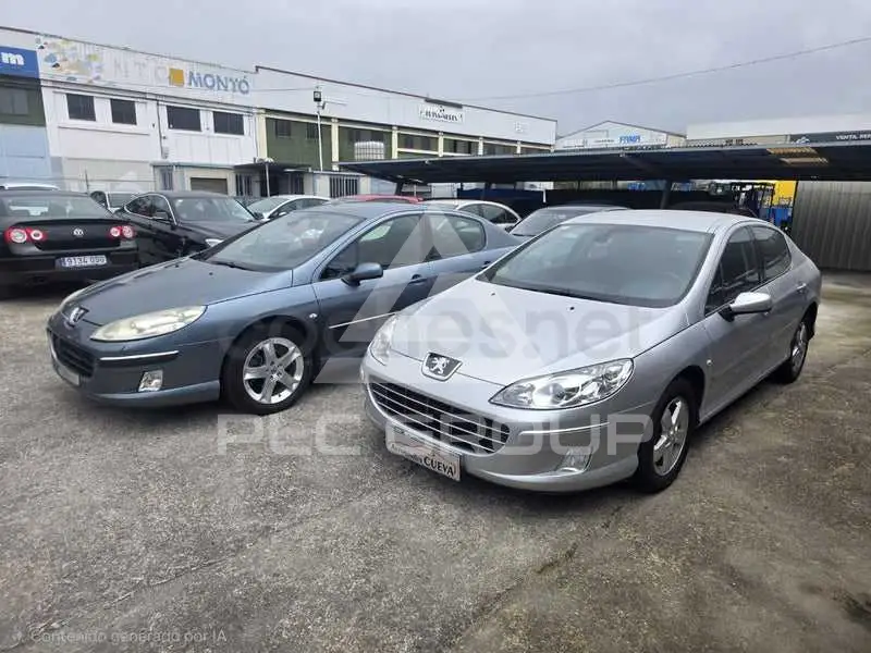 2009 Peugeot 407
