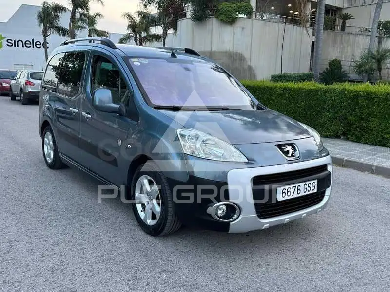2009 Peugeot Partner