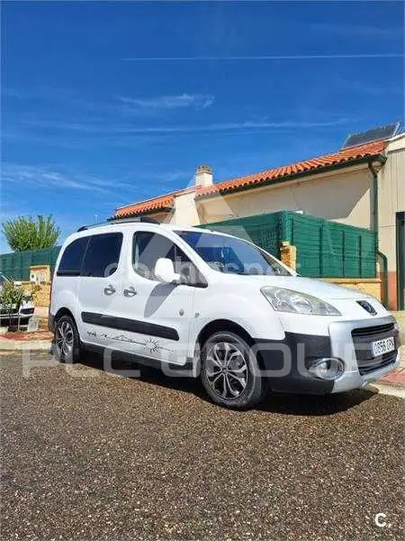2009 Peugeot Partner