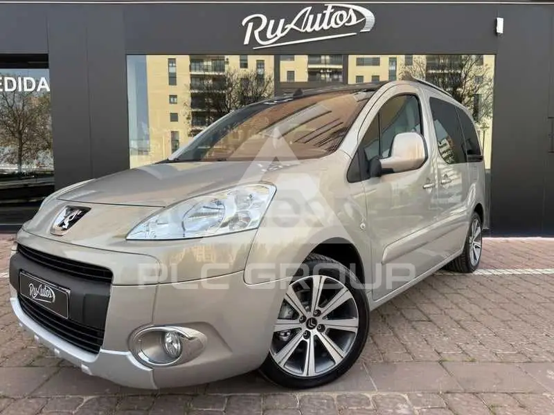 2009 Peugeot Partner