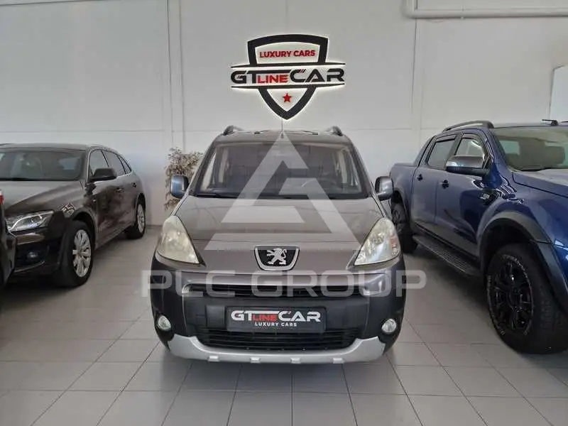 2009 Peugeot Partner