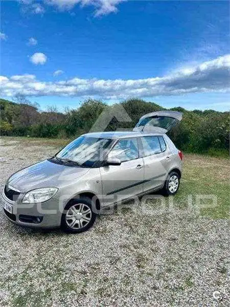 2010 Skoda Fabia