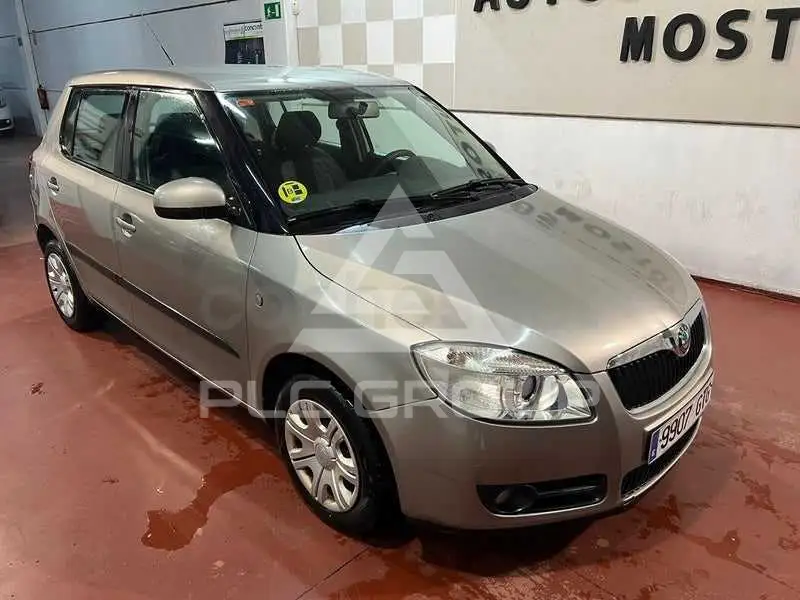2010 Skoda Fabia