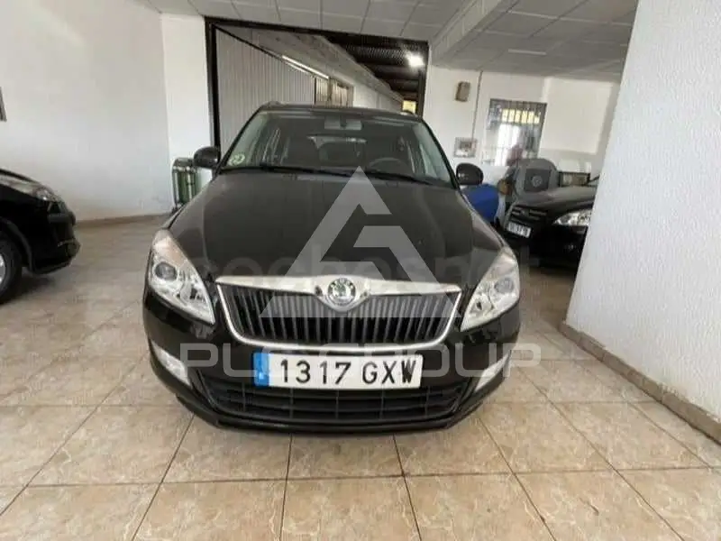 2010 Skoda Fabia
