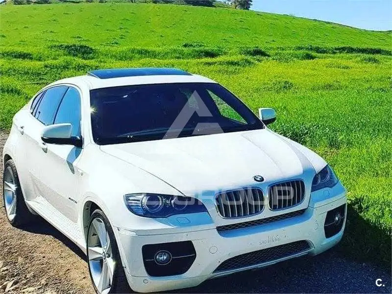 2010 BMW X6