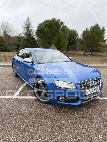 2010 Audi S5