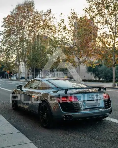 2010 Audi R8