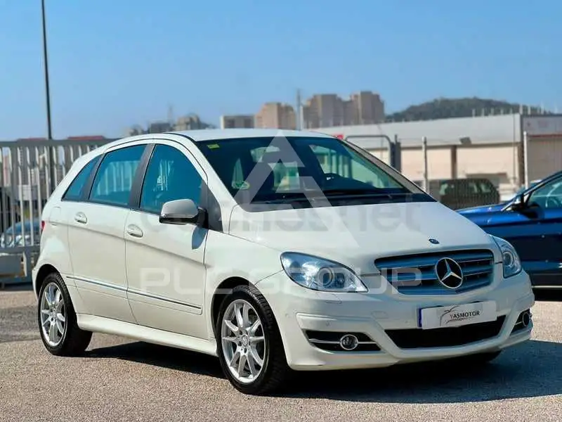 2010 Mercedes Benz B-Class