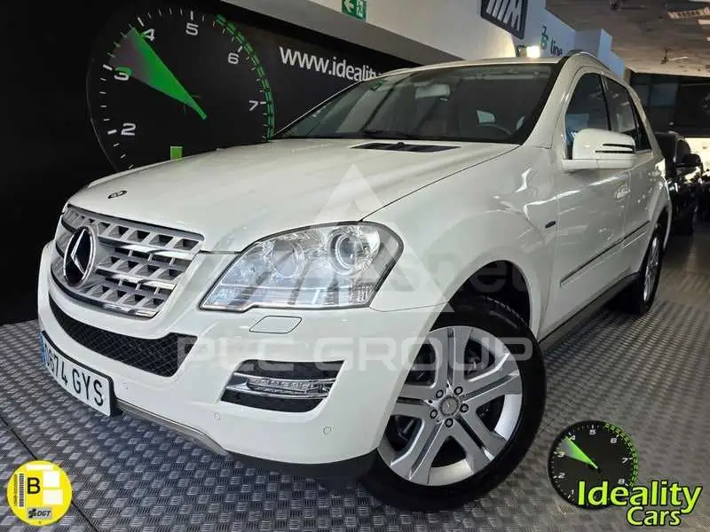 2010 Mercedes Benz M-Class