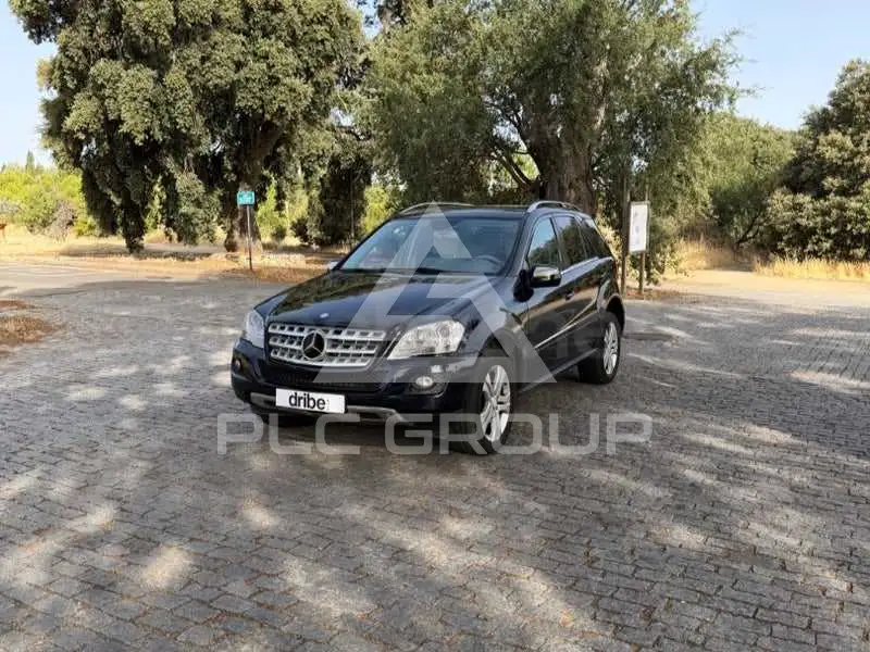 2010 Mercedes Benz M-Class
