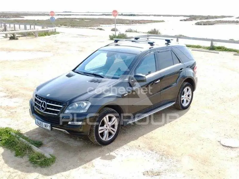 2010 Mercedes Benz M-Class