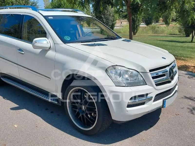 2010 Mercedes Benz GL-Class