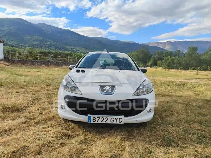 2010 Peugeot 206