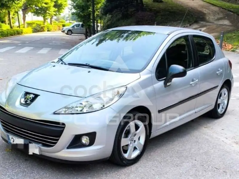 2010 Peugeot 207