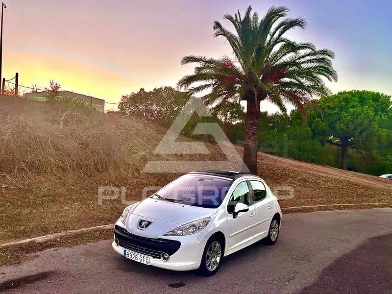 2010 Peugeot 207