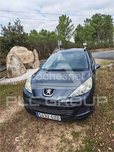 2010 Peugeot 207