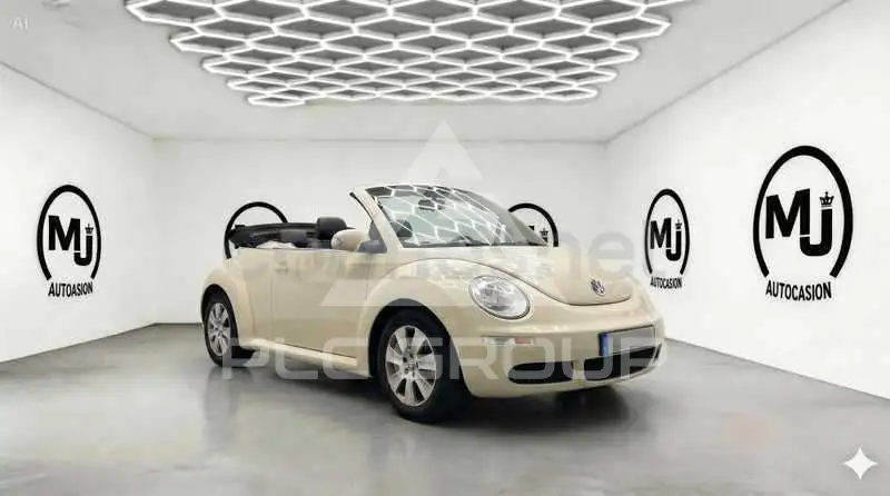2010 Volkswagen BEETLE
