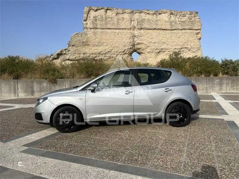 2010 Seat Ibiza