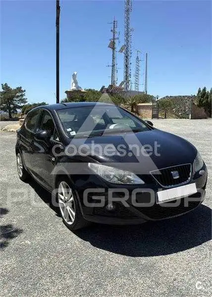 2010 Seat Ibiza