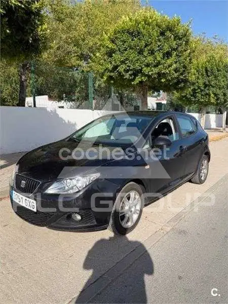2010 Seat Ibiza