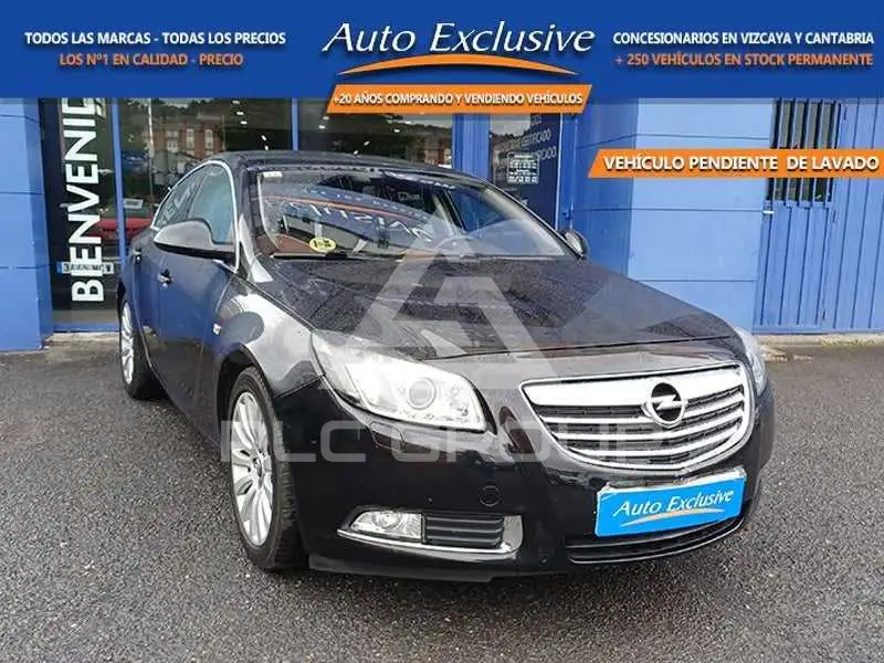 2010 Opel Insignia