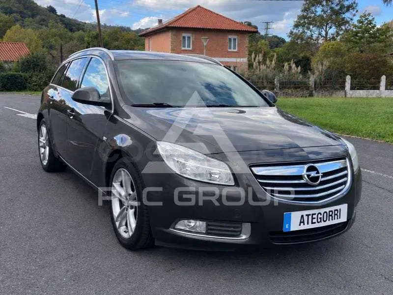 2010 Opel Insignia