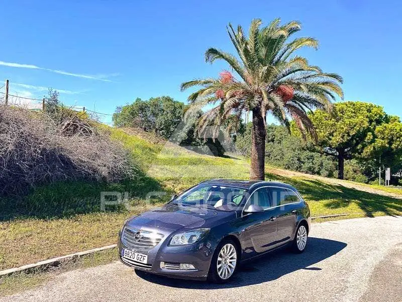 2010 Opel Insignia
