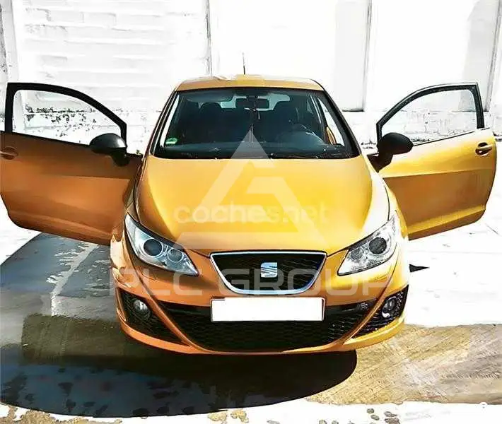 2011 Seat Ibiza