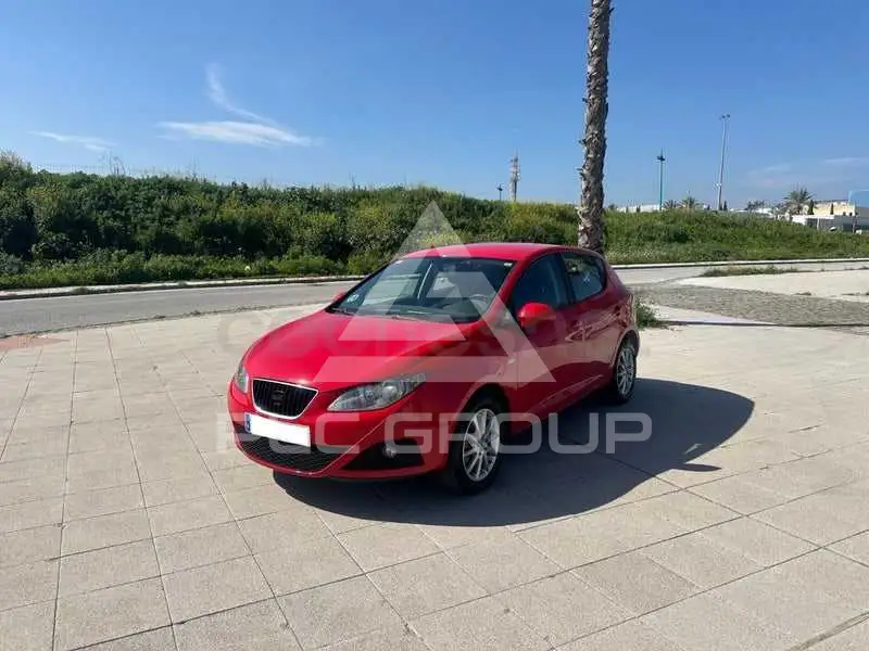2011 Seat Ibiza