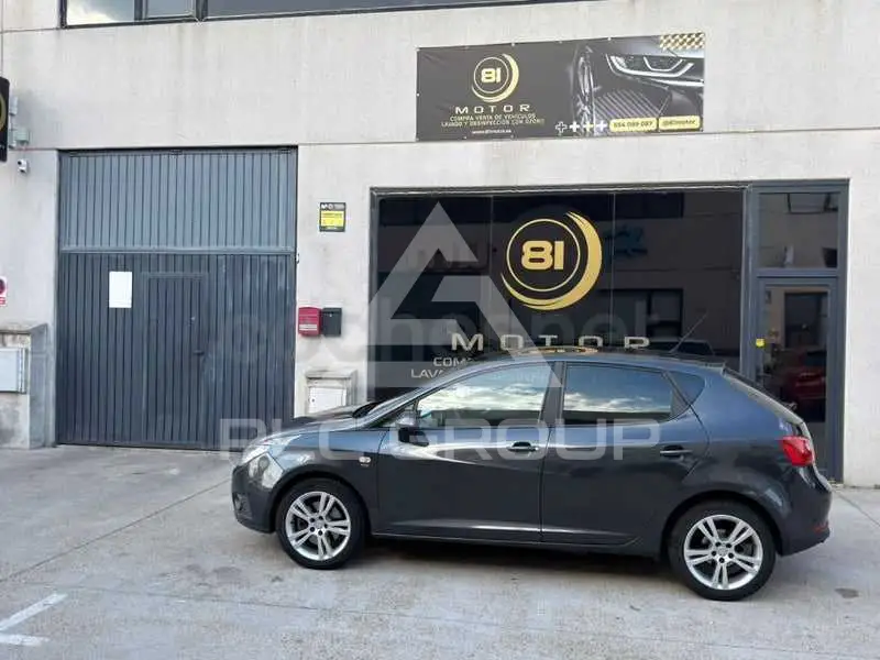 2011 Seat Ibiza