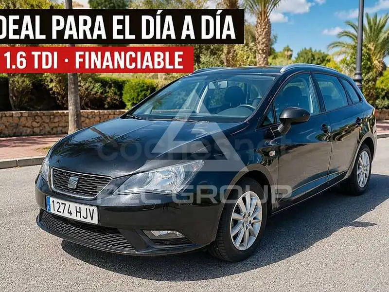 2012 Seat Ibiza