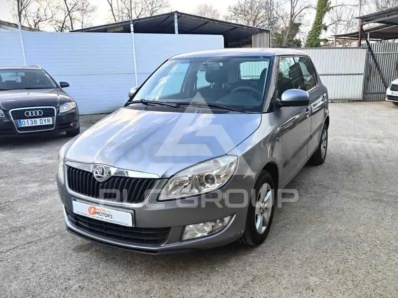 2013 Skoda Fabia