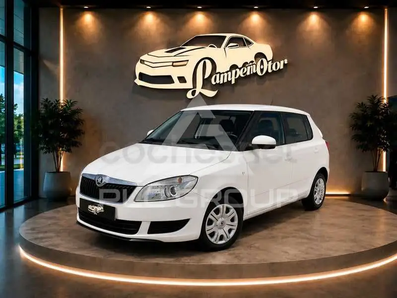 2013 Skoda Fabia
