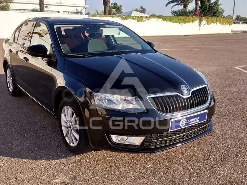 2013 Skoda Octavia