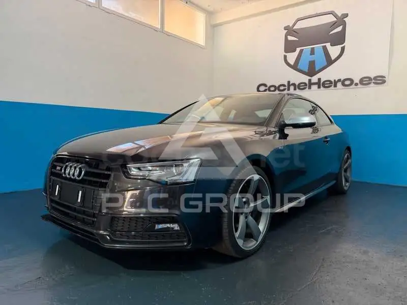 2013 Audi S5