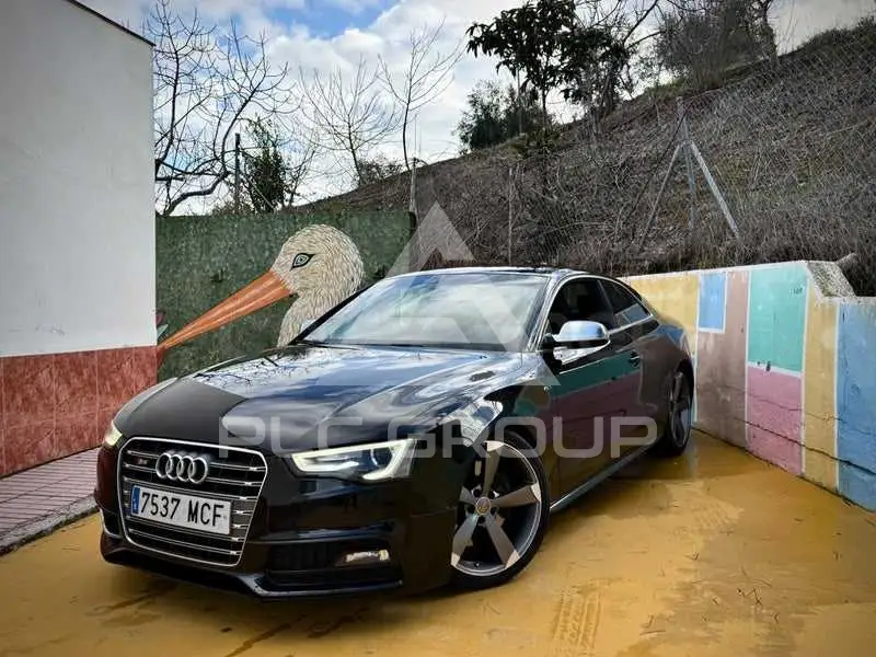 2013 Audi S5