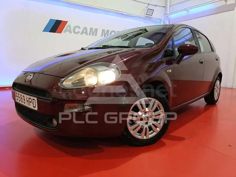 2013 Fiat Punto