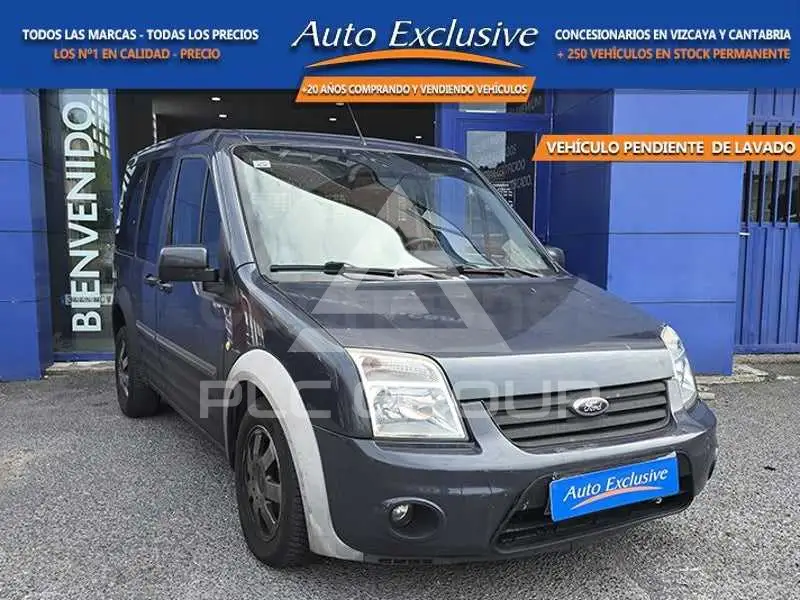 2013 Ford Tourneo