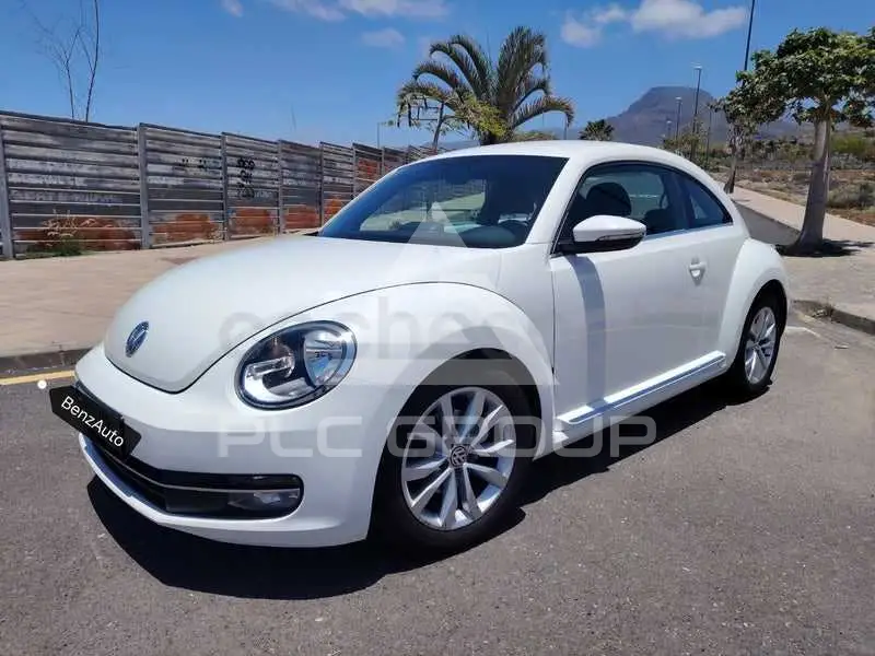 2013 Volkswagen BEETLE