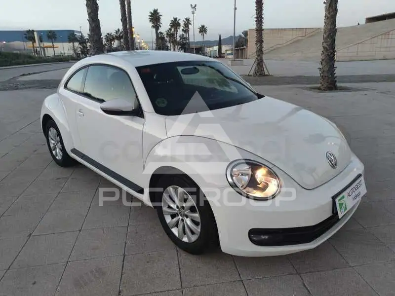 2013 Volkswagen BEETLE