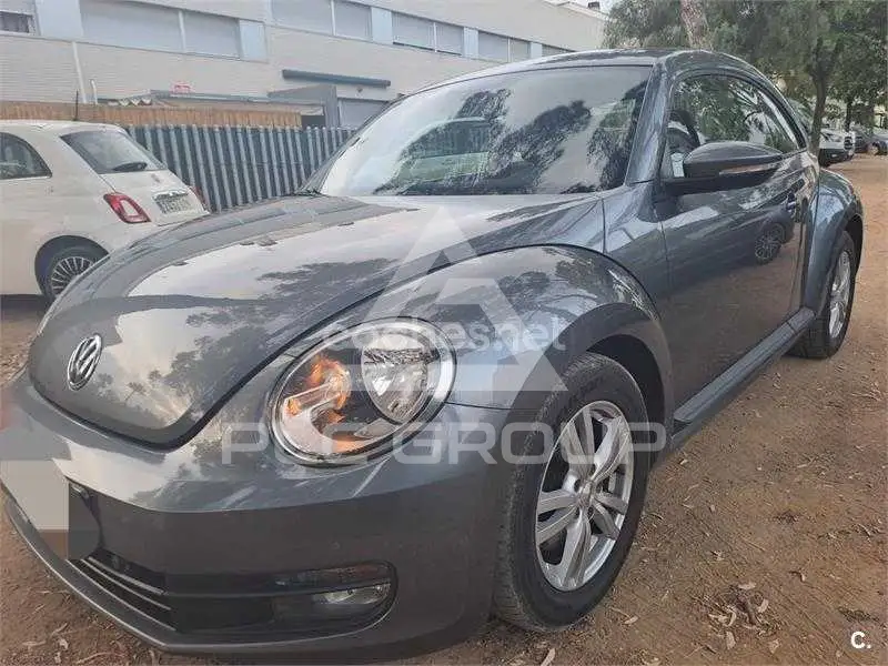 2013 Volkswagen BEETLE