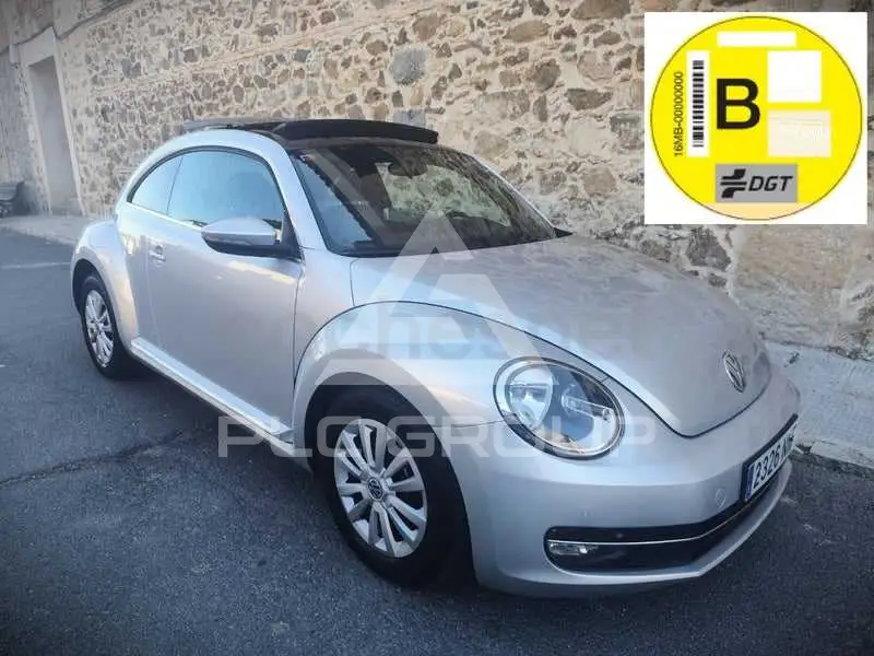 2013 Volkswagen BEETLE