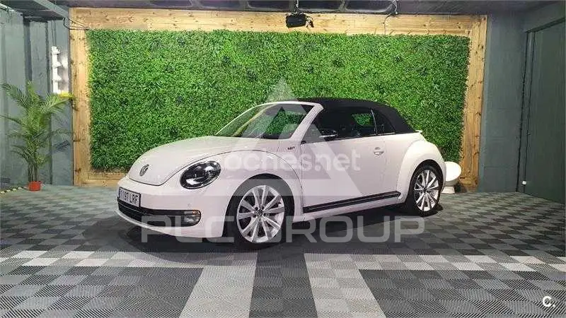 2013 Volkswagen BEETLE