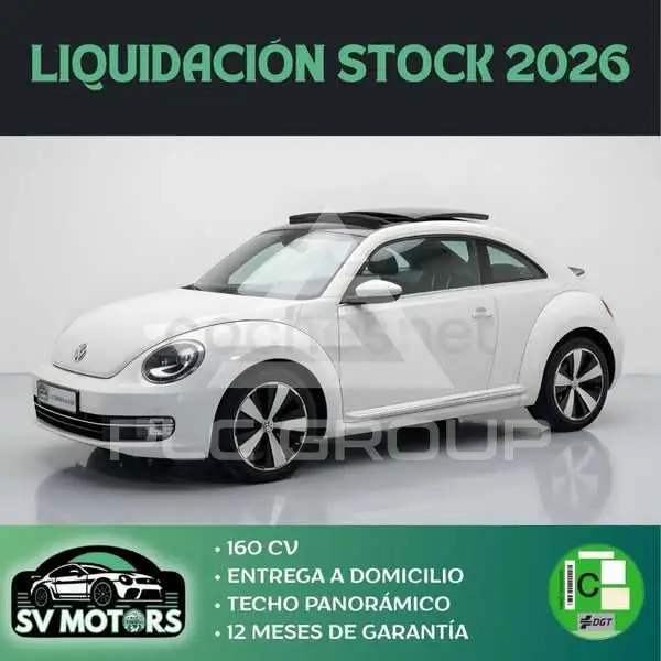 2013 Volkswagen BEETLE