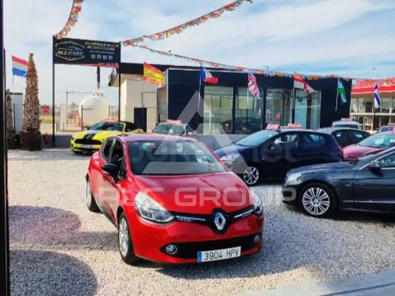 2013 Renault Clio