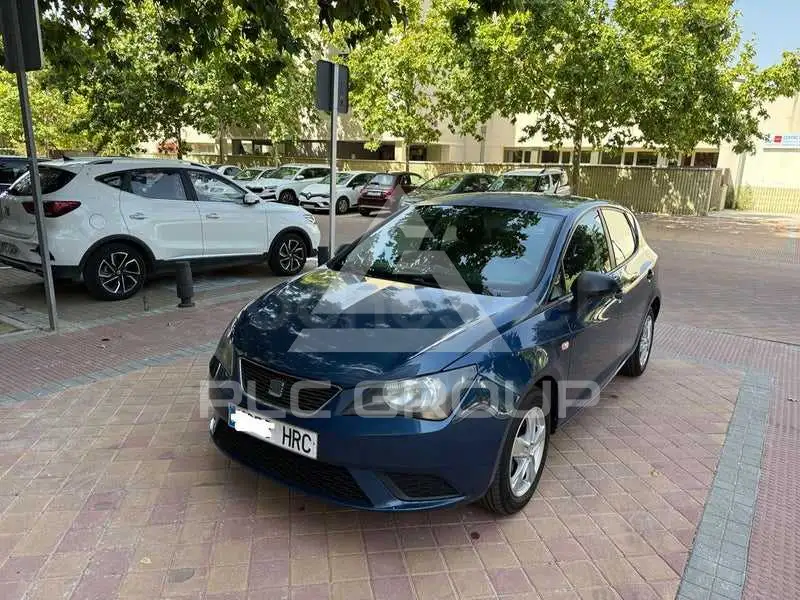 2013 Seat Ibiza