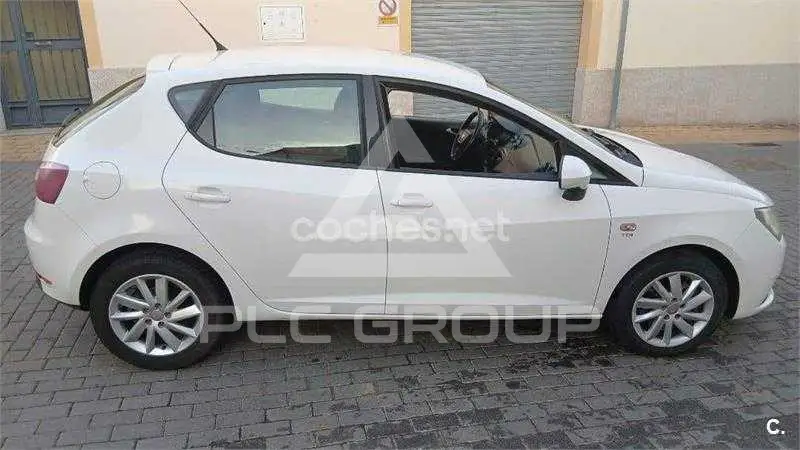 2013 Seat Ibiza