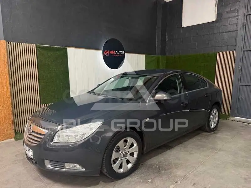 2013 Opel Insignia